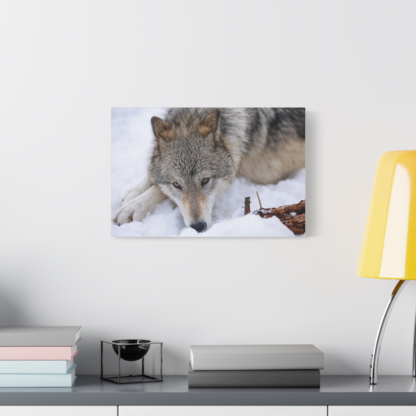 Nukumi Canvas Print