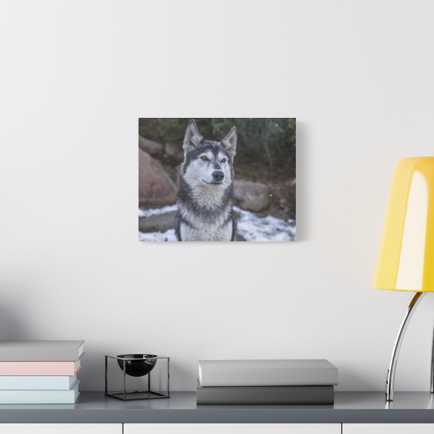 Luna Canvas Print