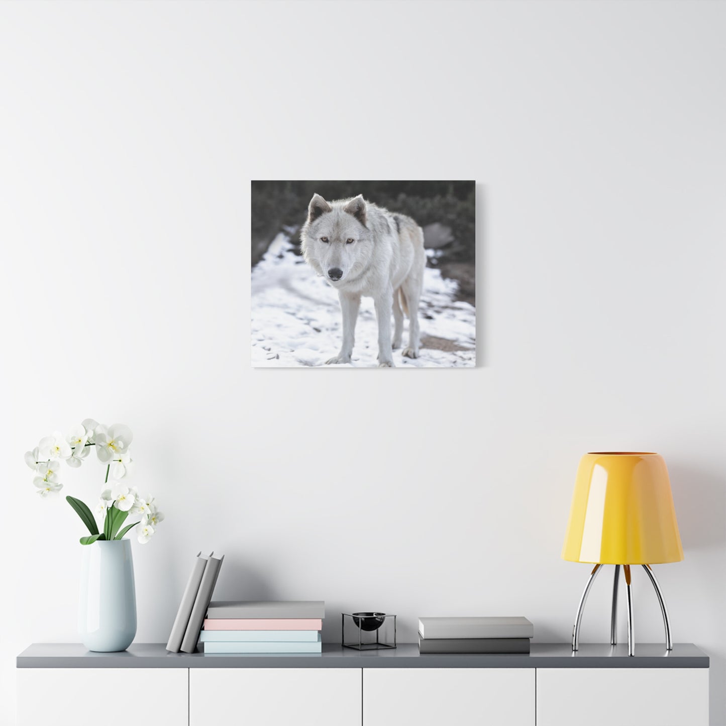 Leo Canvas Print