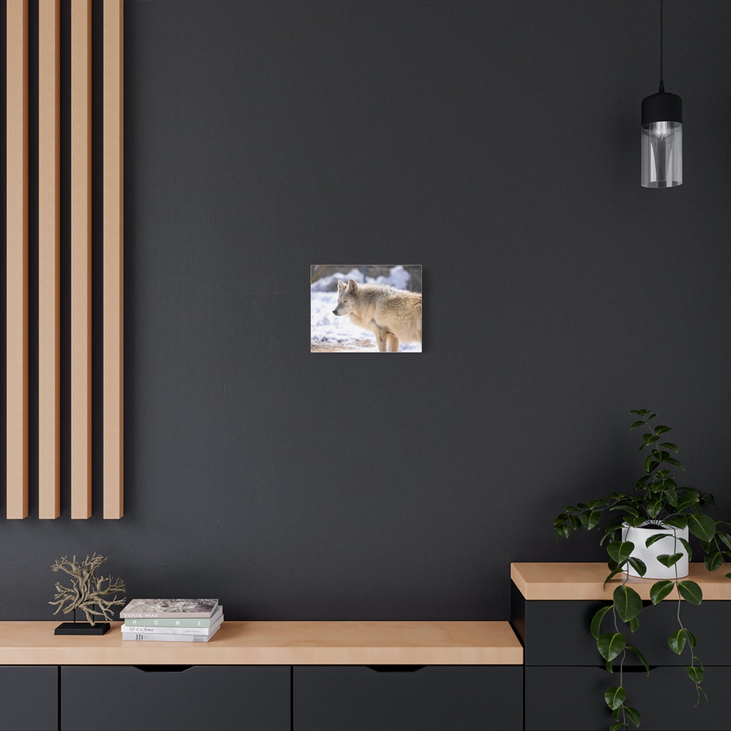 Max Canvas Print