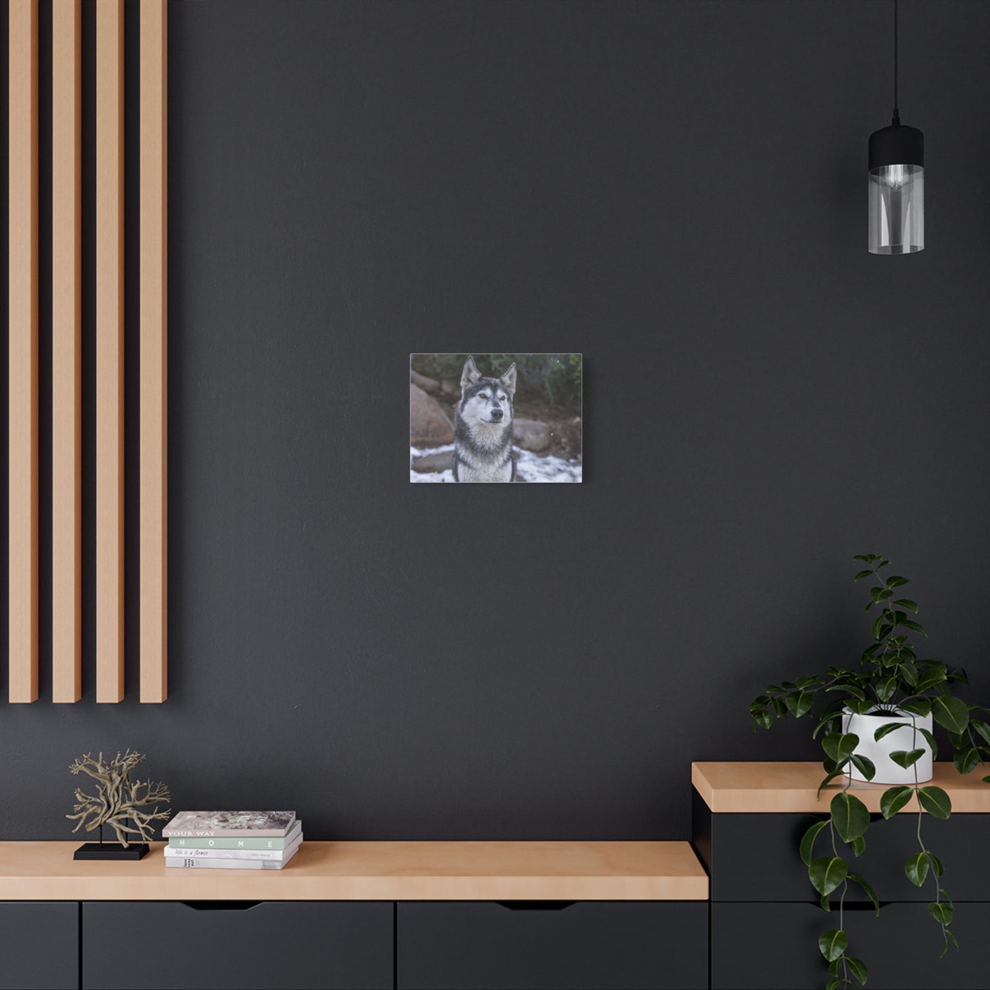 Luna Canvas Print
