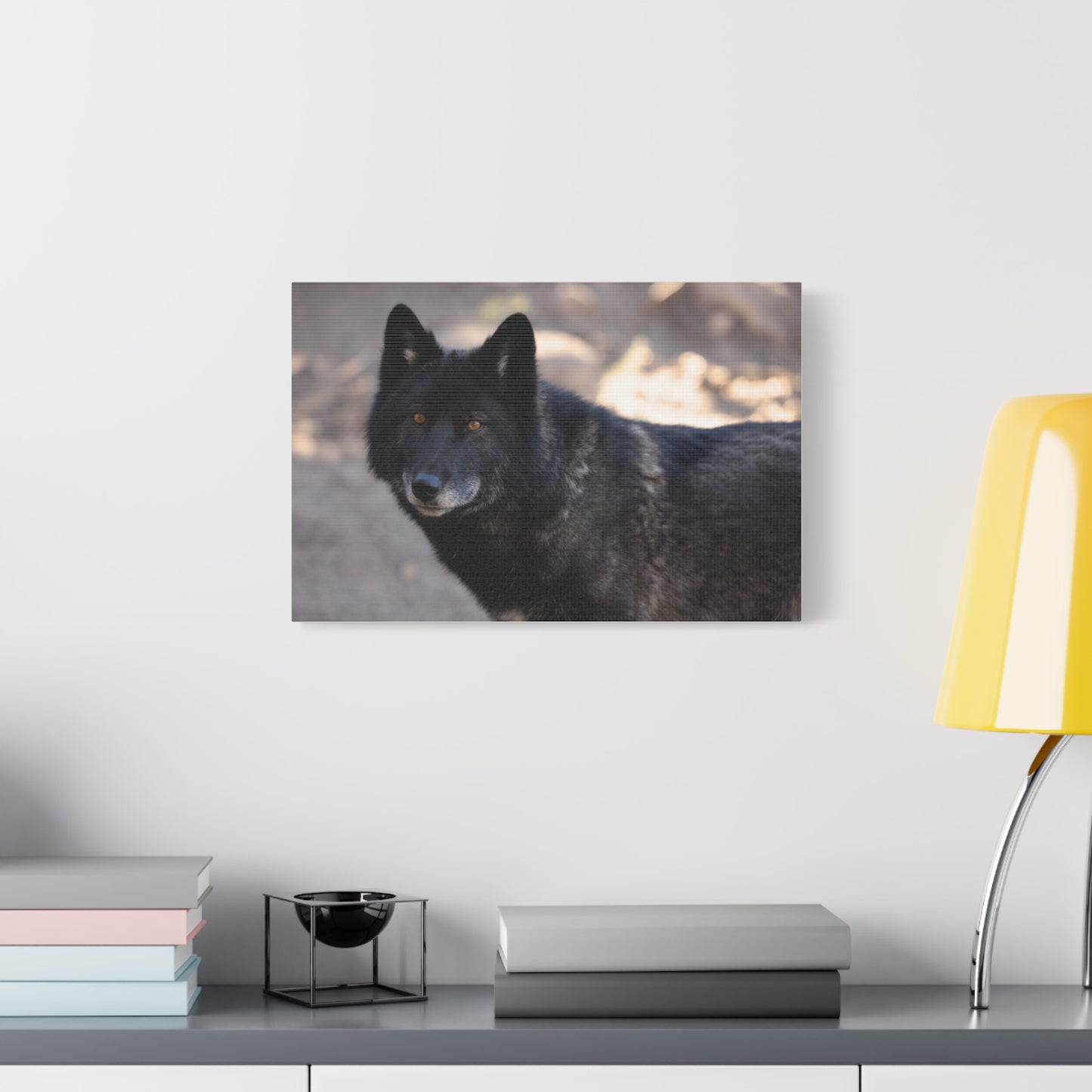 Lakota Canvas Print
