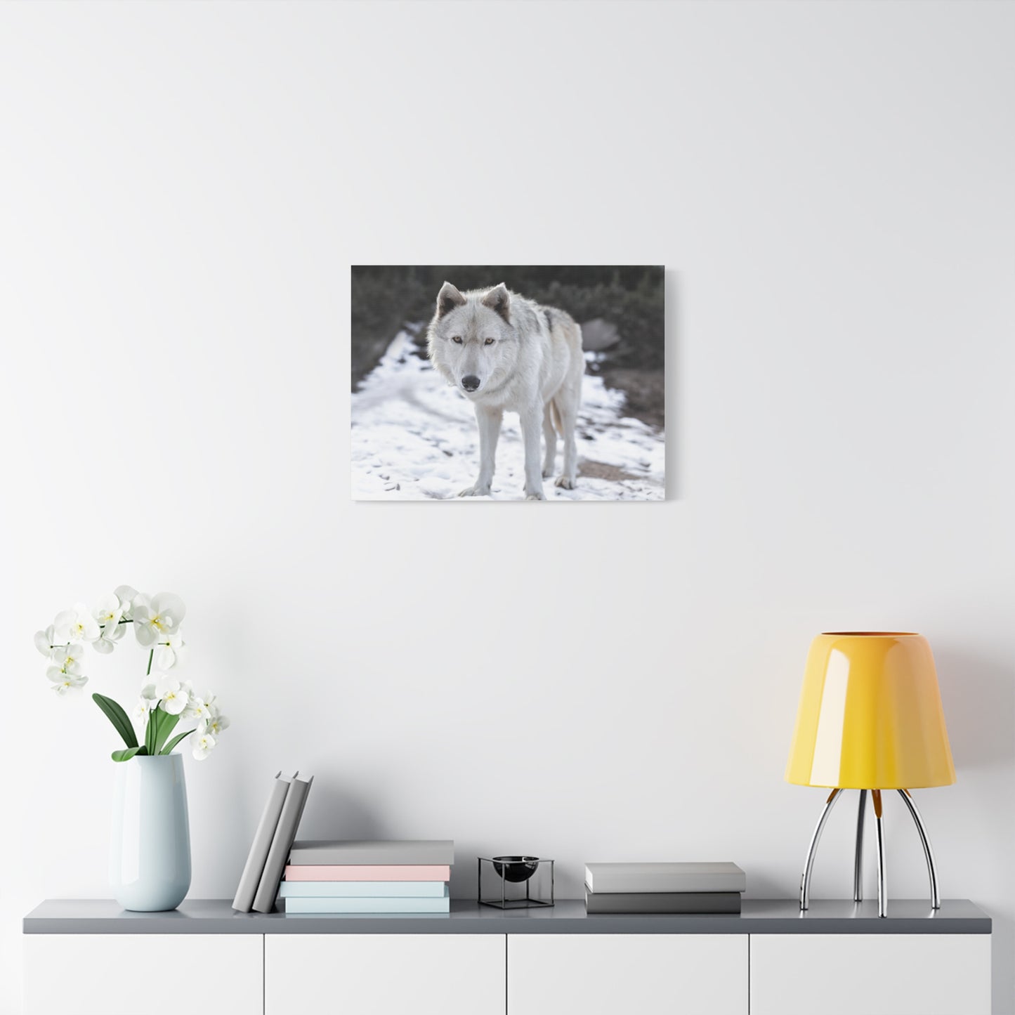 Leo Canvas Print
