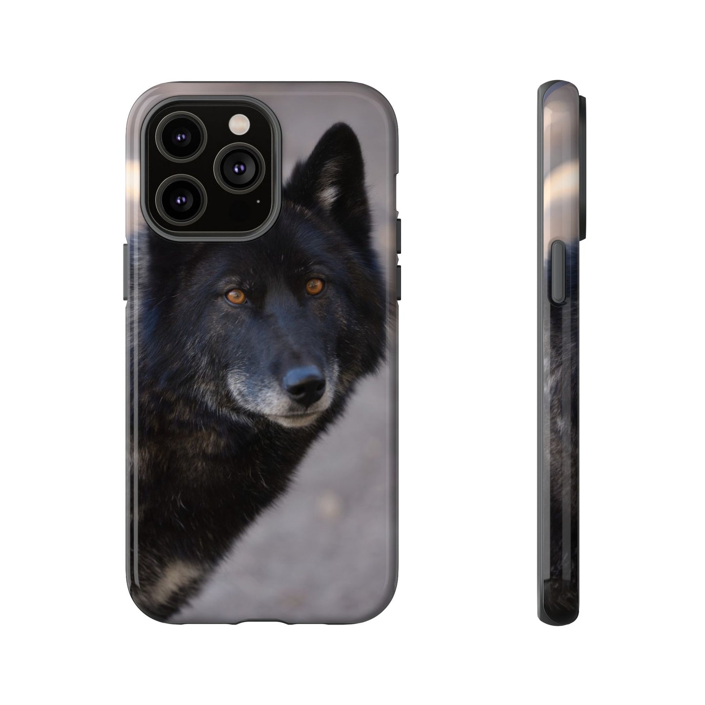 Lakota Phone Case