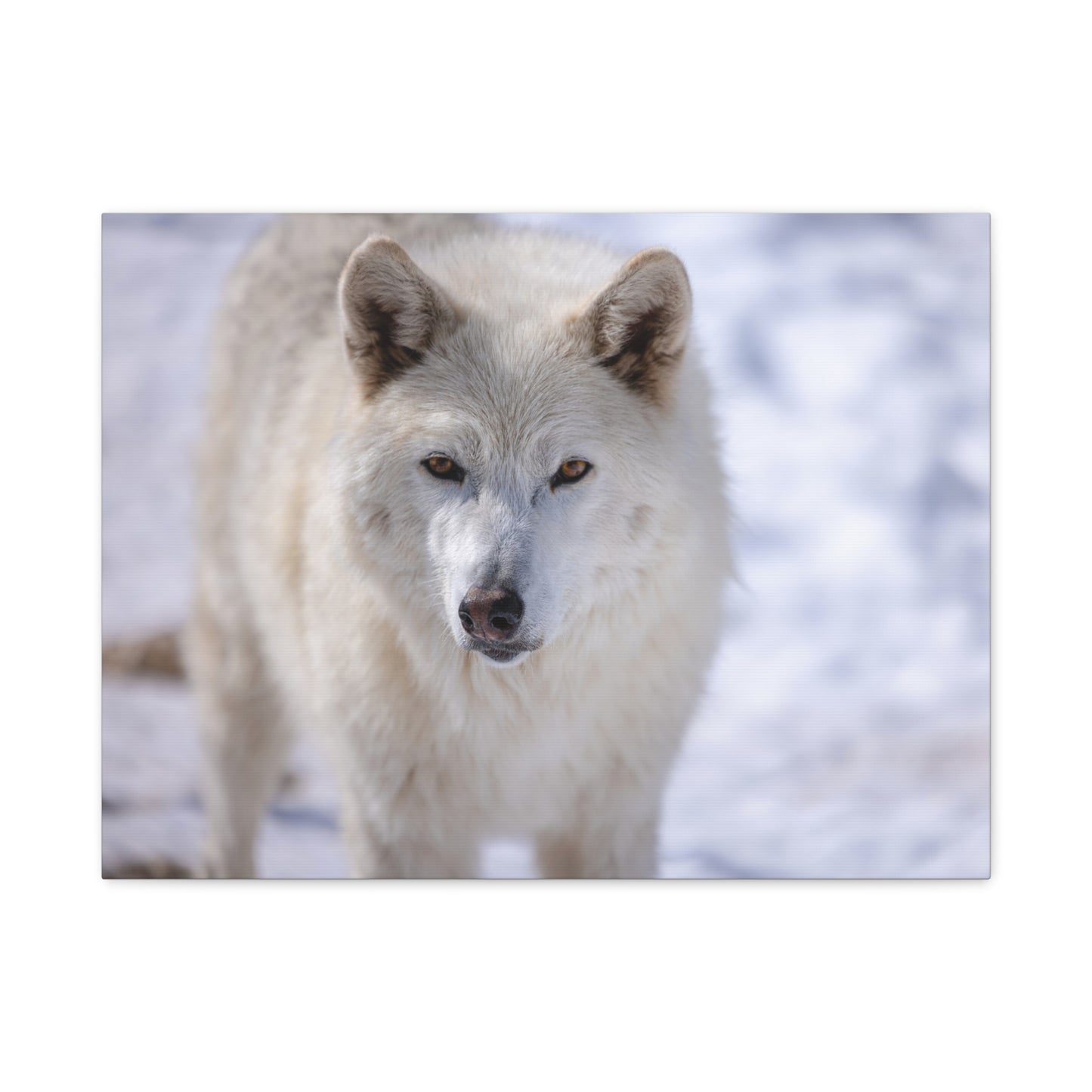 Charlee Canvas Print