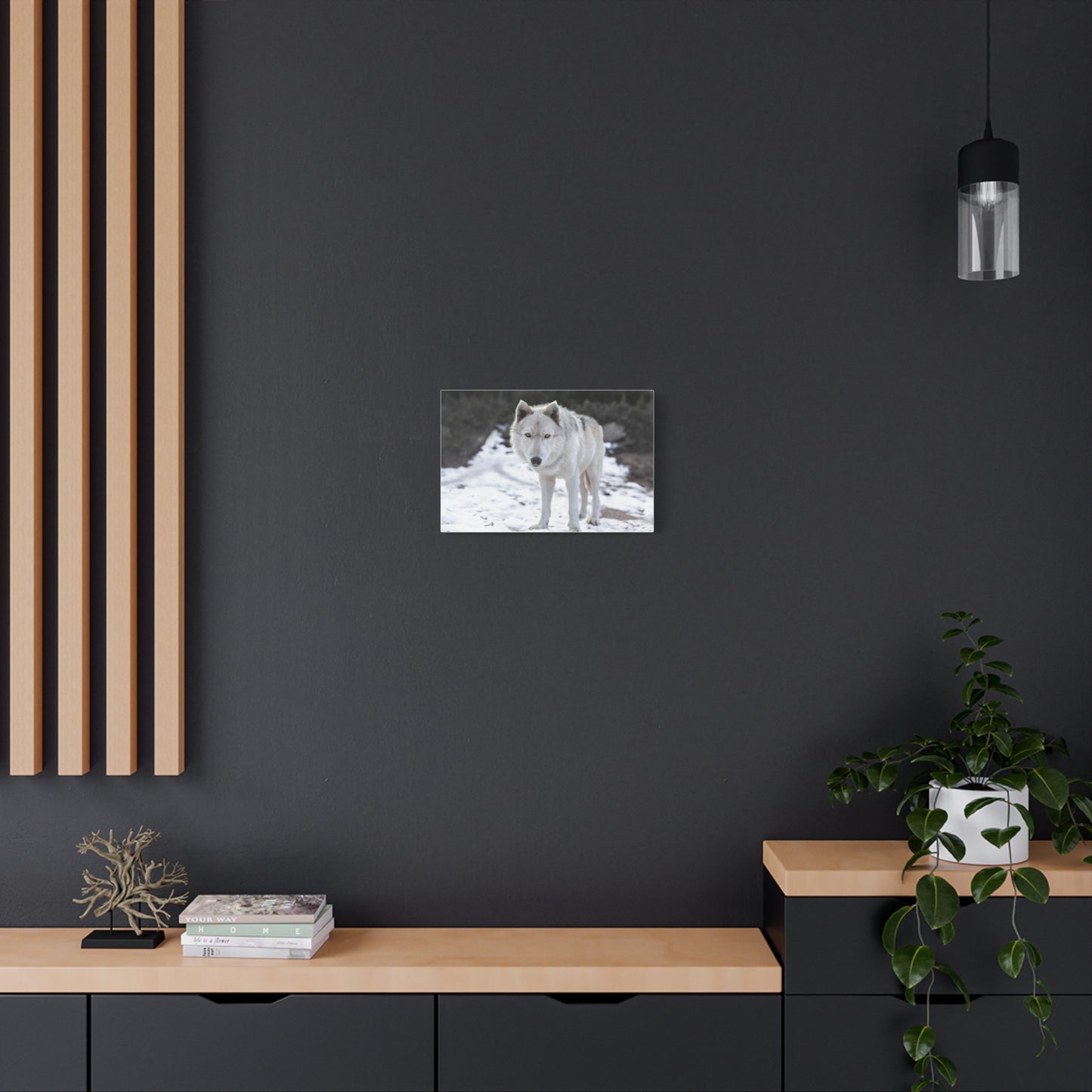 Leo Canvas Print