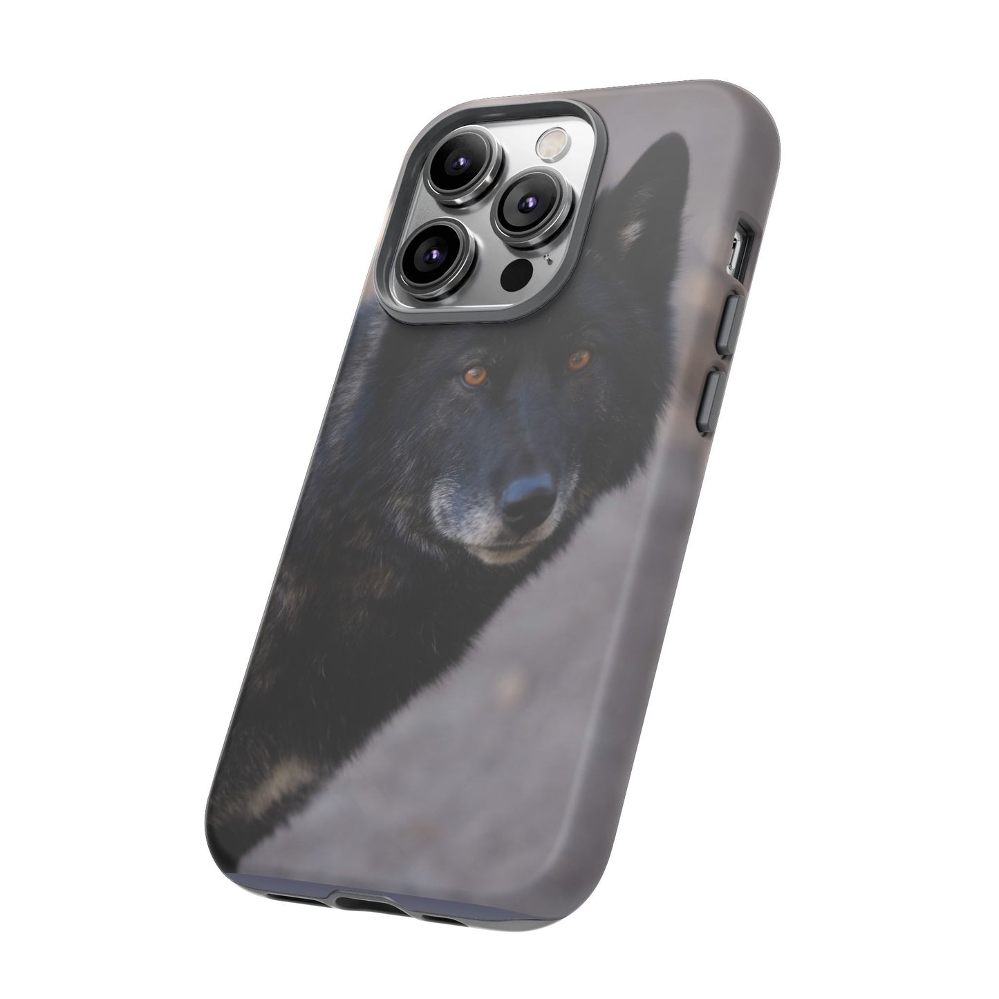 Lakota Phone Case