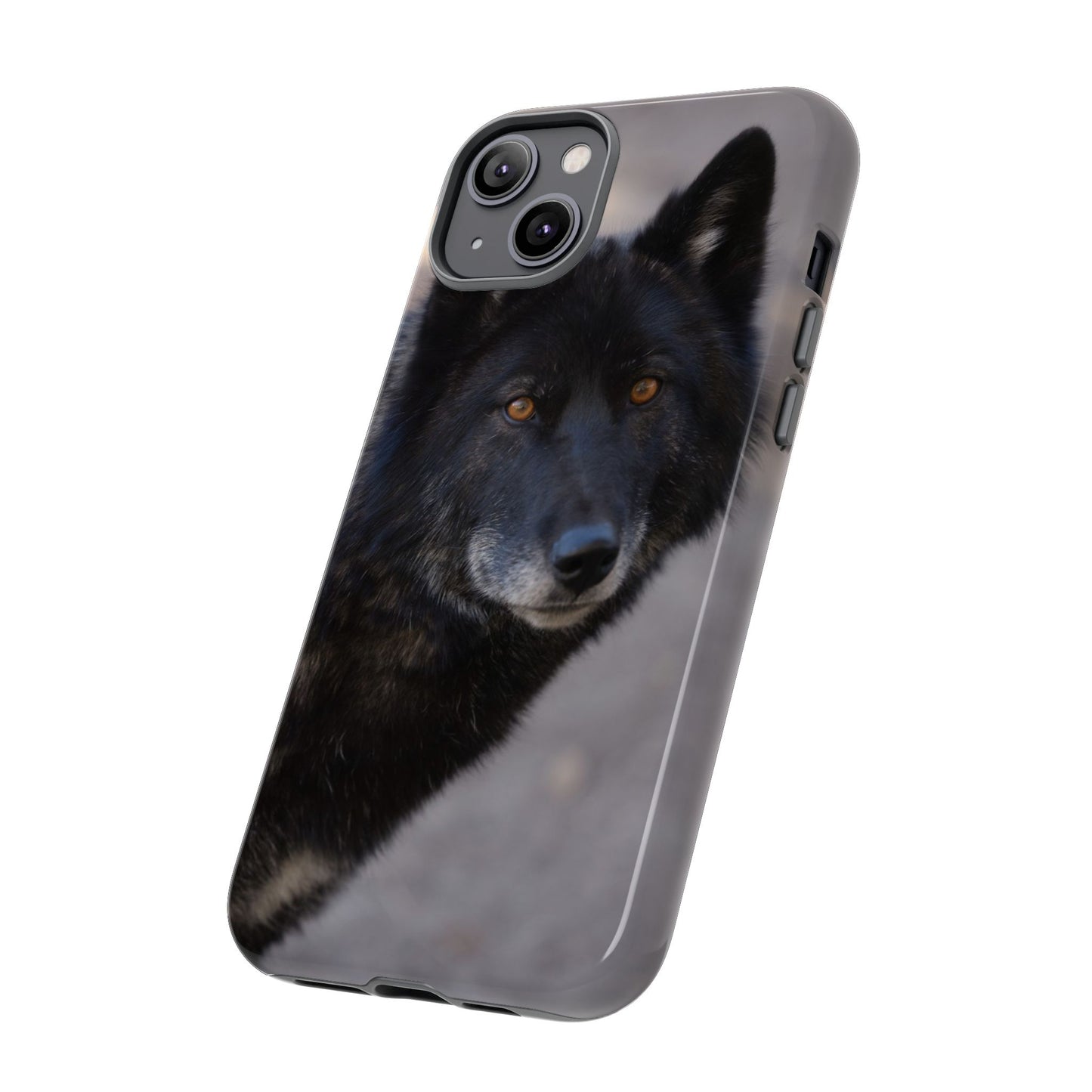 Lakota Phone Case