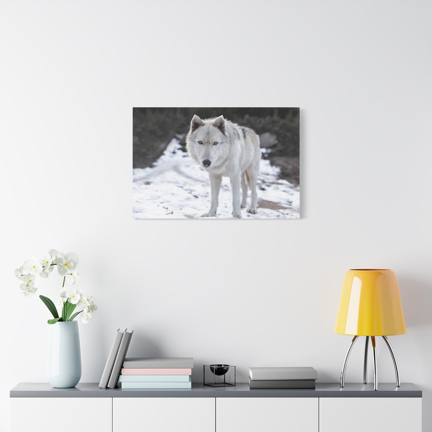 Leo Canvas Print