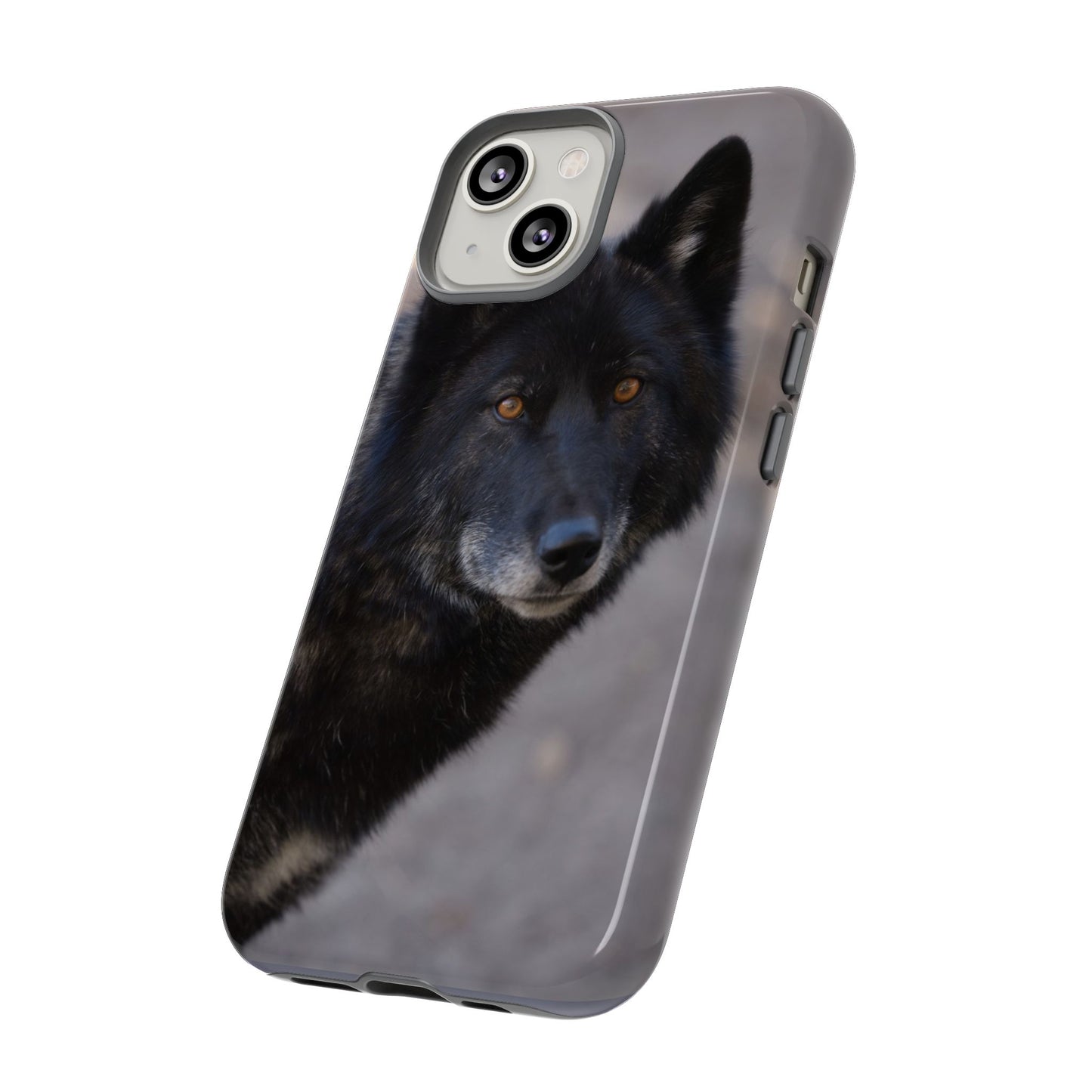 Lakota Phone Case