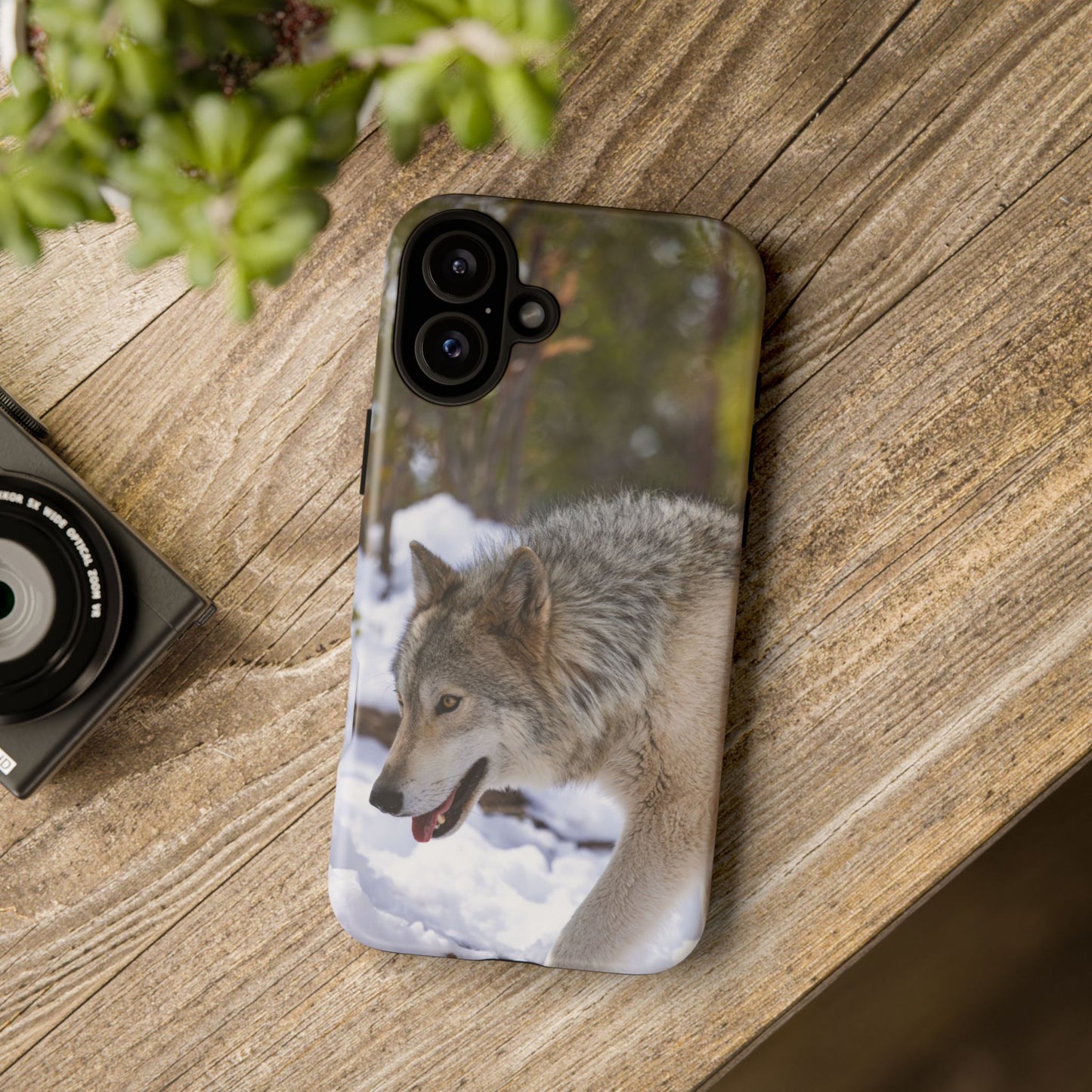 Bodhi Phone Case