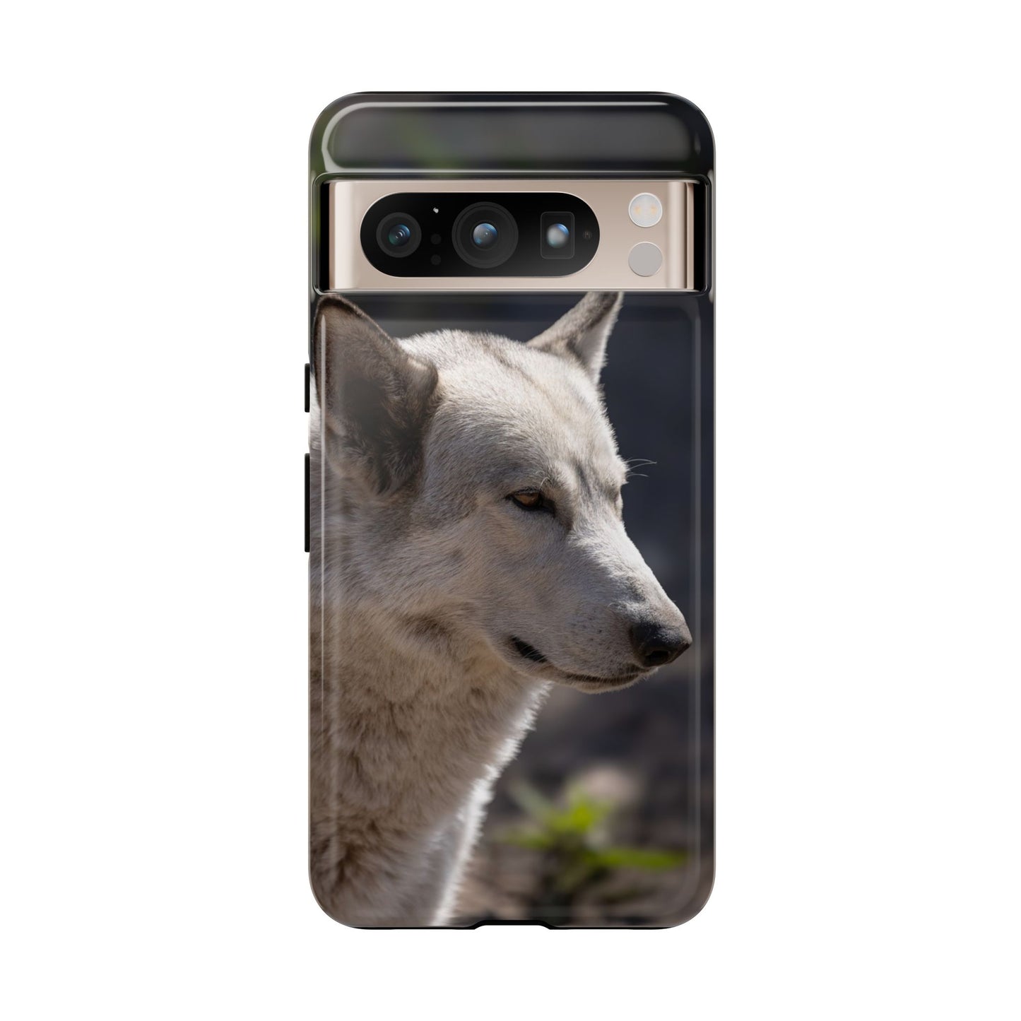 Beo Phone Case