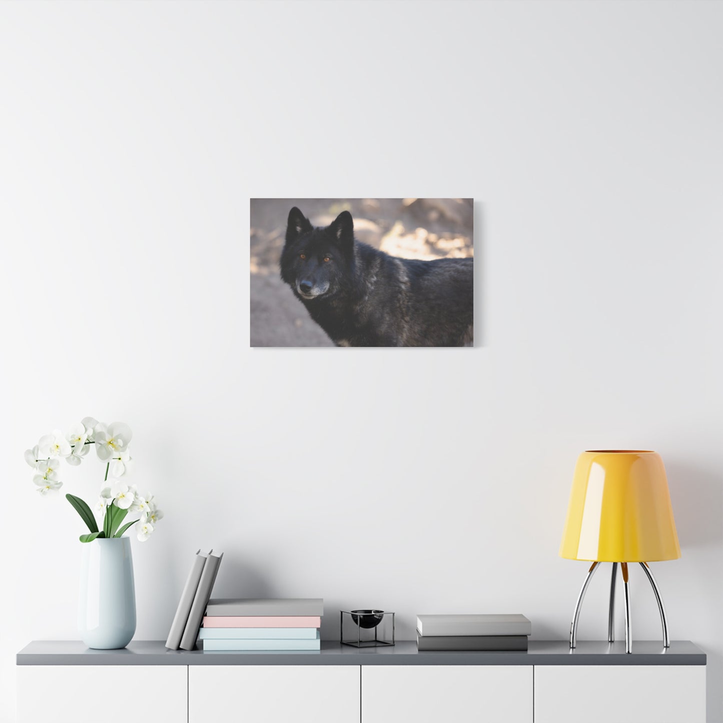 Lakota Canvas Print