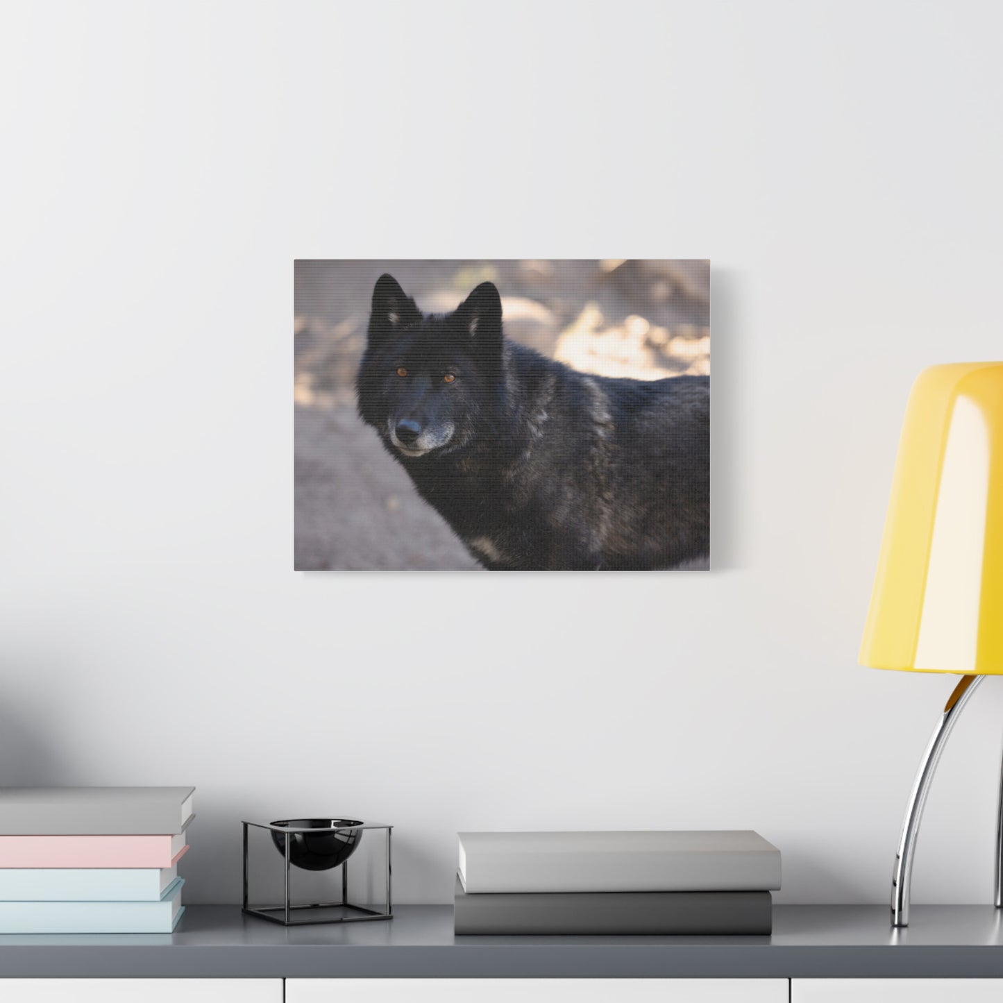 Lakota Canvas Print