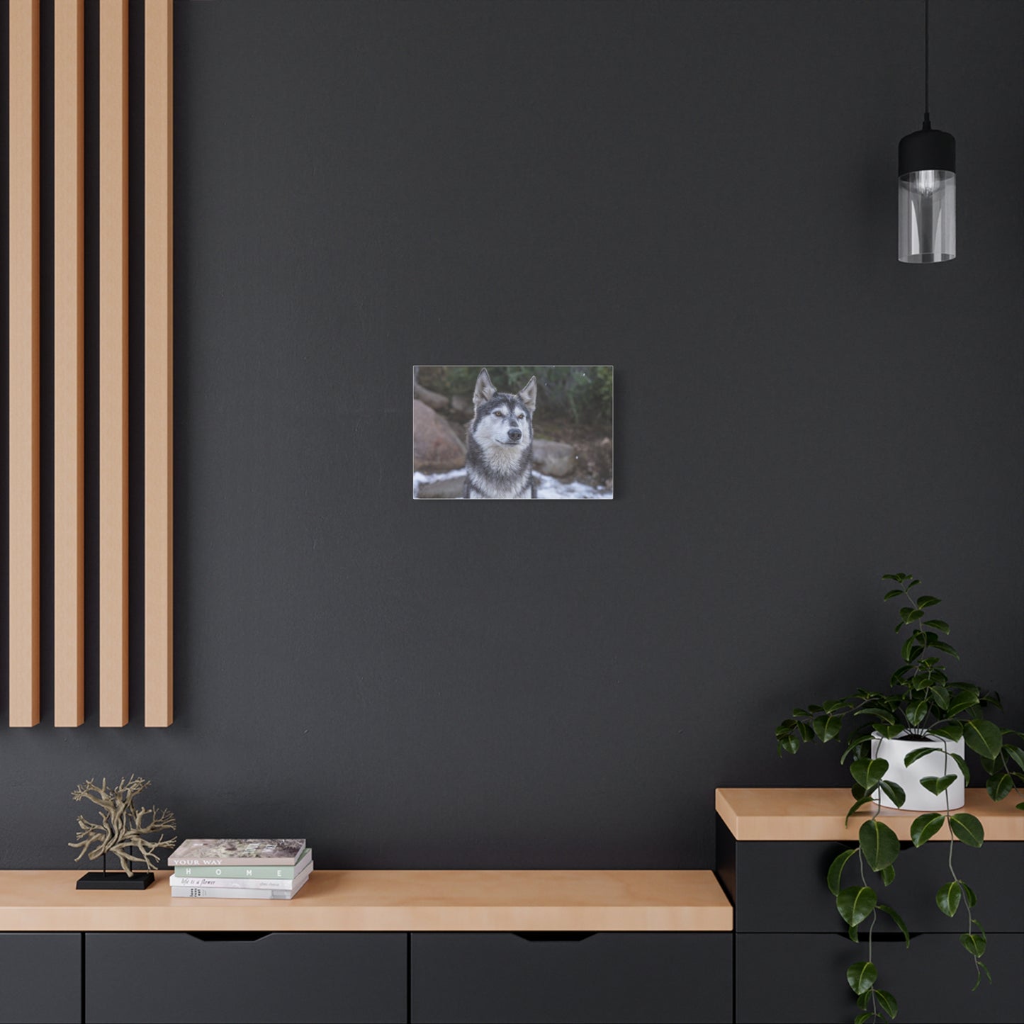 Luna Canvas Print