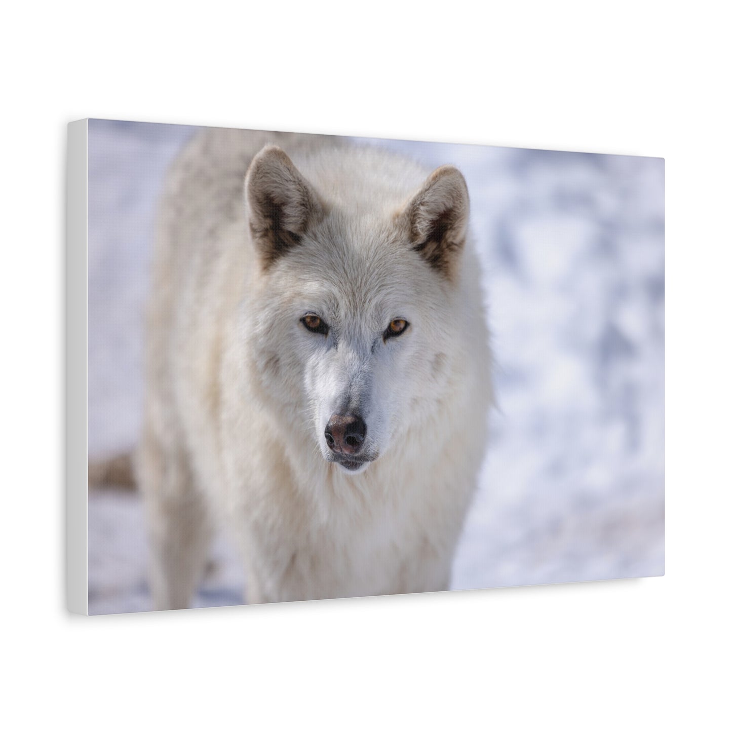 Charlee Canvas Print