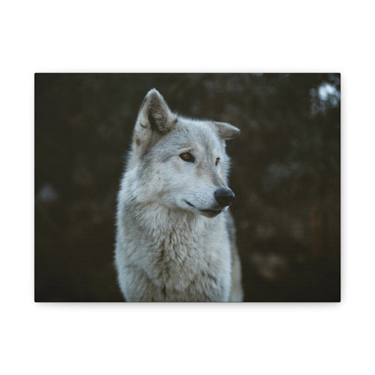 Willow Canvas Print