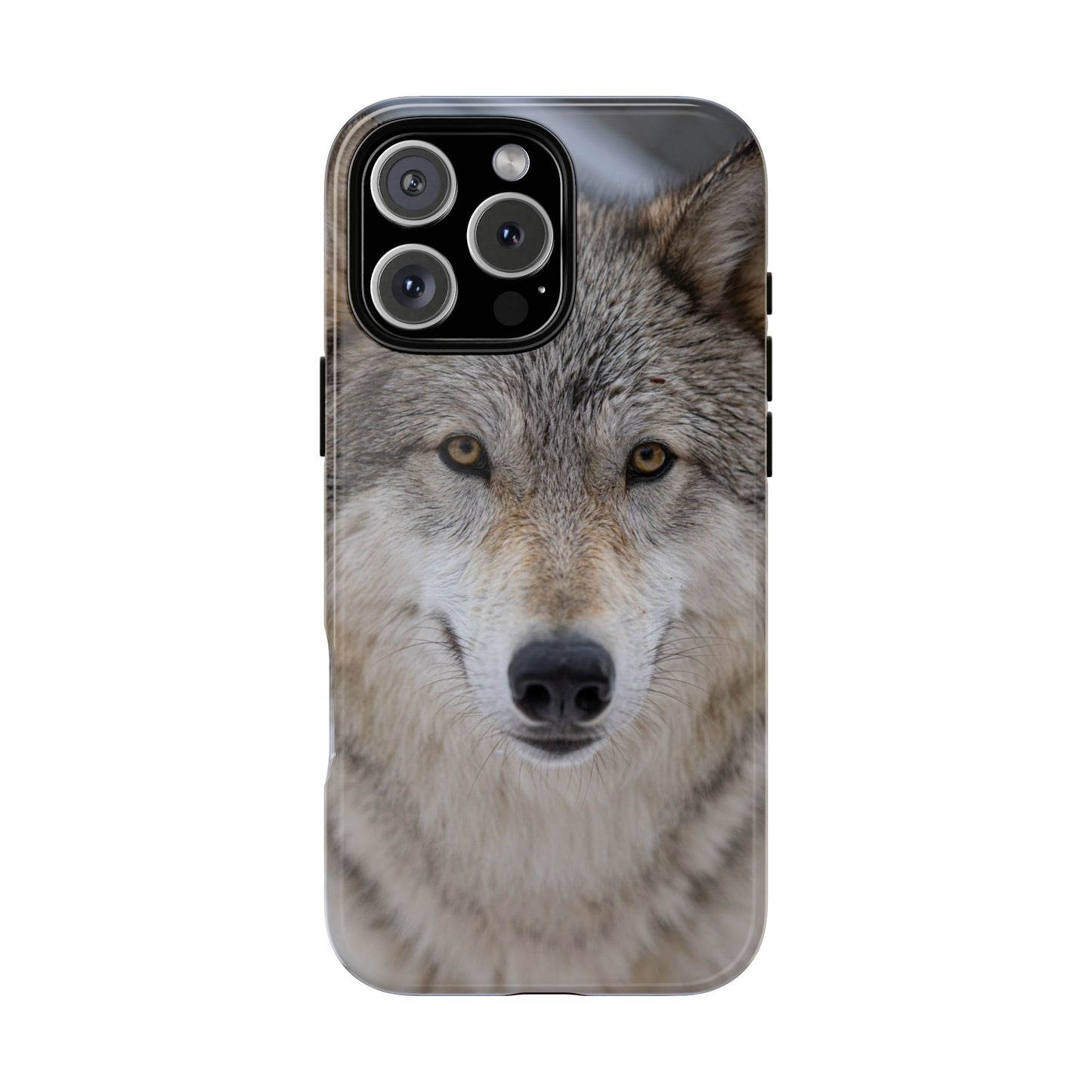 Nukumi Phone Case